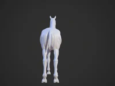 Animal - Horse Anatomy Skin Ecorche Body Base Low-poly 3D model