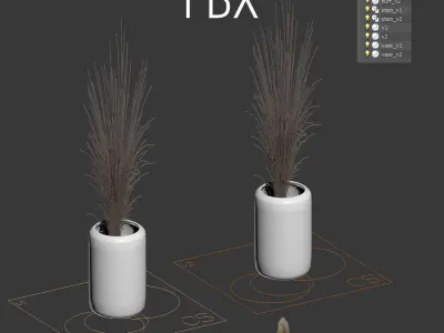 A bouquet of dried flowers - 2 models 3D model