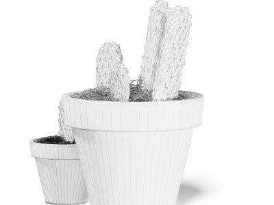 Cactuses in Black Pots 3D Model 3D model