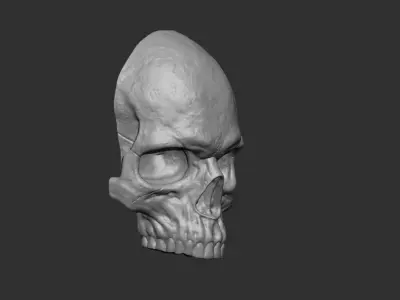 Skull Wall Sculpture 3D print model