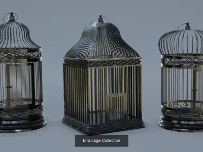 Cage Bird Collection