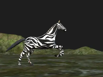 Zebra 3d Fully Rigged  3D model