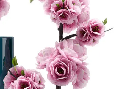 FLOWER  SPRING FLOWERS 3D model