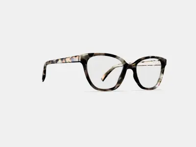 Correct Eyeglasses in Ecru Tortoise 3D model