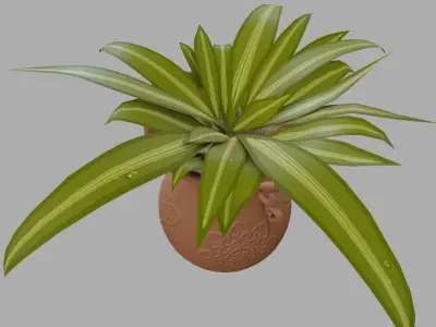 Plant in a vase 3D model