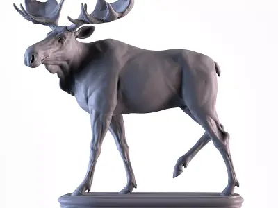 Moose 3D print model