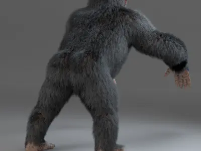 Chimpanzee Maya 3D model