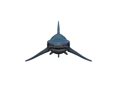 Shark Low-poly 3D model 47
