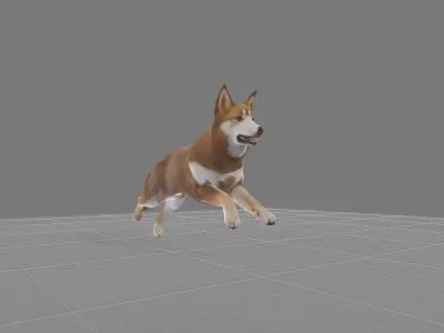 Lapponian Herder Dog Breed Low-poly 3D model