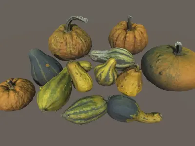 Scanned Pumpkins Low-poly 3D model