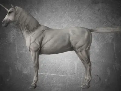 Horse - Unicorn No Gear 3D model