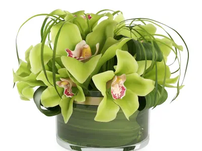 Bouquet of orchids 3D model
