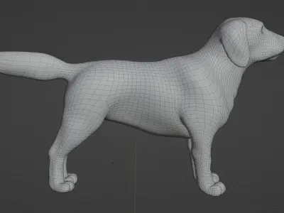 Labrador Dog Breed 3D Model for Games and VR Low-poly 3D model