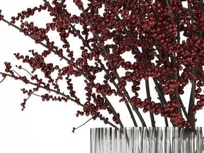 beautiful bouquet of branches with red berries 481 3D model