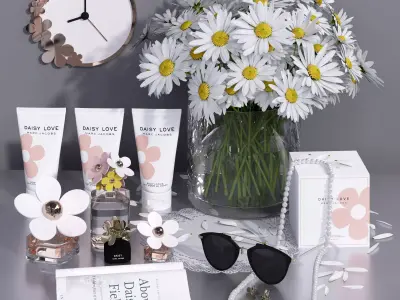 Daisy Flower Decorative Set decor set 3D model