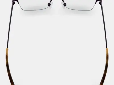 James Eyeglasses in Carbon 3D model