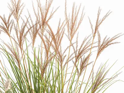 Reeds in a concrete flowerpot for the interior 1094 3D model