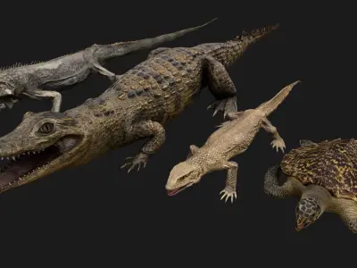 Reptile Pack Crocodile Iguana Turtle Varanus Low-poly 3D model