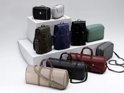 Fashion accessories set - bag - backpack - purse 3D model