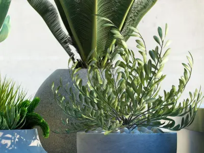 Plants 78 3D model