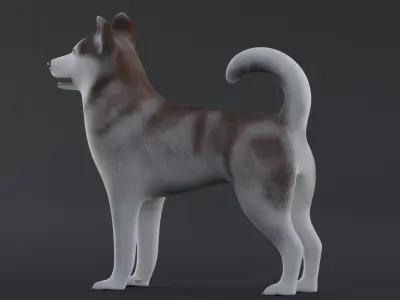 Dog Alaskan Malmute Low Poly Model Game AR VR Low-poly 3D model
