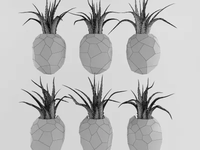 Pineapple flower set  Free 3D model