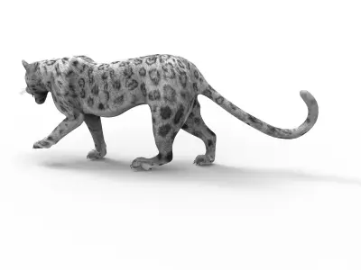 Rigged and Animated White Leopard 3D Low-poly 3D model