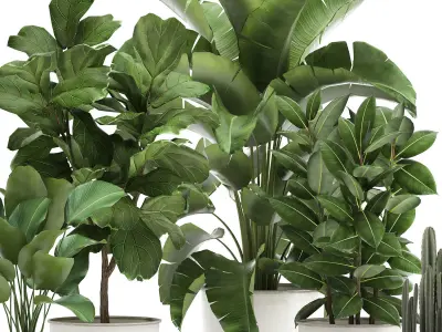 Houseplants in a white pot for the interior 906 3D model