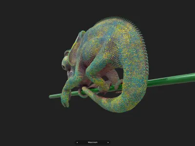 M0008 Z-Brush 3d Model Chameleon Low-poly 3D model