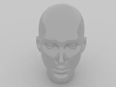 Female Head  3D model