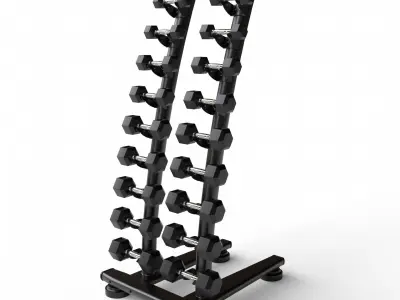 Gym Dumbell Set 004 3D model