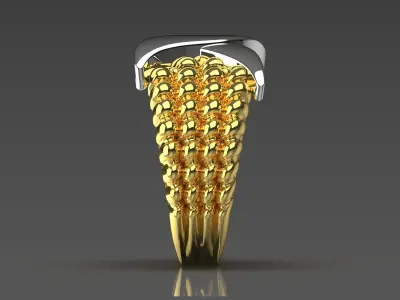 Luxury two-tone ring modern design model gr0039 3D print model