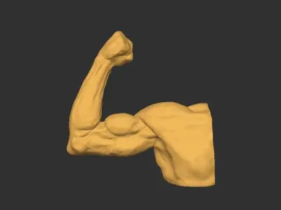 Hand Arm 3D print model