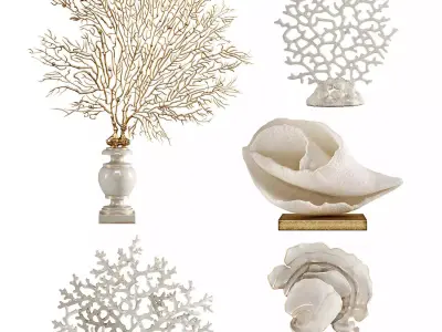 Corals Sculptures Collection