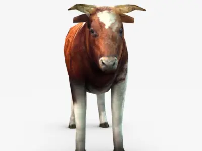 Cow three cows 3D model