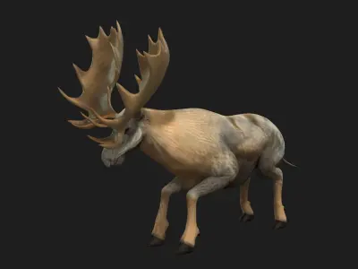 Moose-B1 3D model