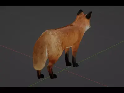 Red Fox Low-poly 3D model