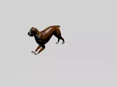 3D animated dog model 3D model