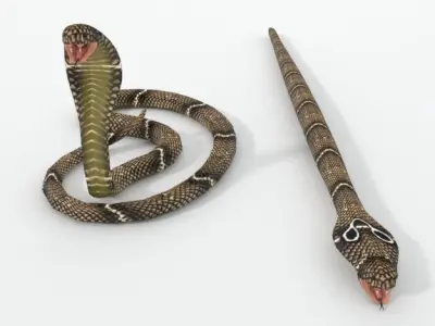  Cobra Snake Low-poly 3D model