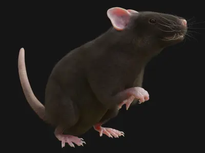 RET FOR VFX CGI 3D model