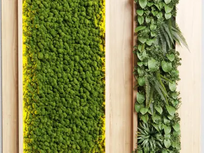 wall garden and vertical moss in wooden frame 22 3D model