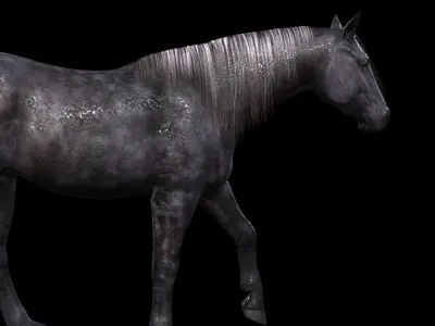 Thoroughbred Arabian Horse WILD WORLD PONY 3 Low-poly 3D model