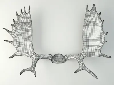Moose Antler Rack Mount 3D model