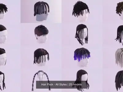 Hair Pack - All Styles by Tiko 3D Model Collection