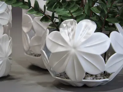 Indoor plants in a decorative vases 3D model