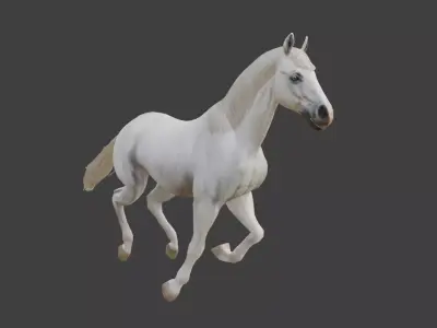 3D Model Running White Horse Low-poly 3D model