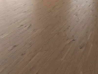 Parquet Oak Vergne Wild Wood set 6 3D model