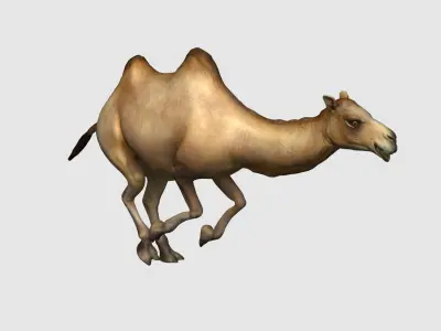 camel animation 3D model