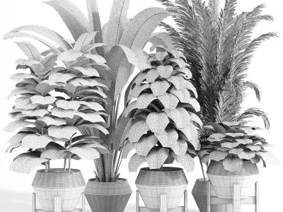Indoor plant collection 09 3D model