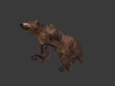 Next Gen AAA Brown Bear - game model Low-poly 3D model